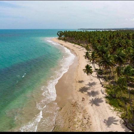 Praia Dos Carneiros Eco Resort Luxuoso Tamandaré Eksteriør bilde