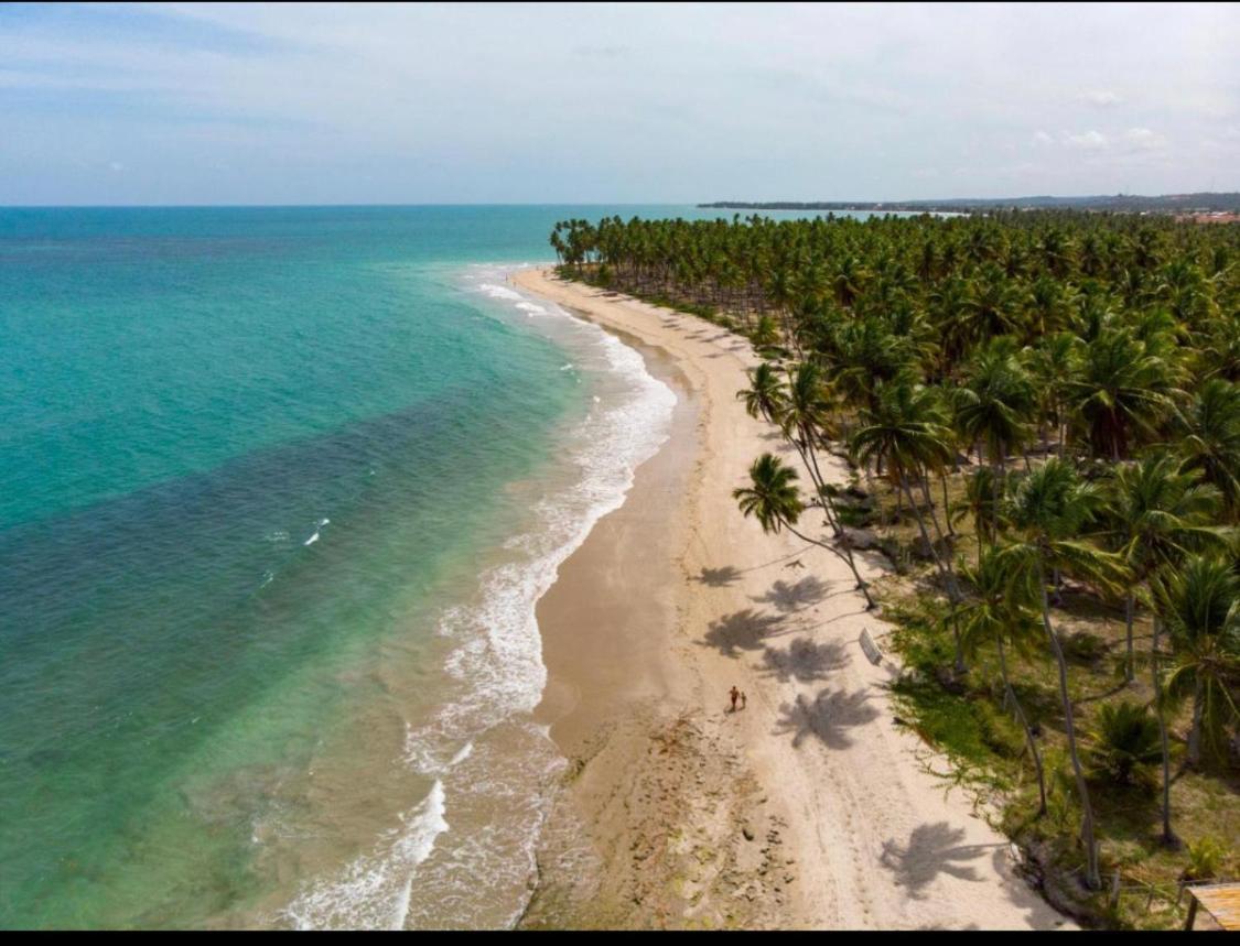 Praia Dos Carneiros Eco Resort Luxuoso Tamandaré Eksteriør bilde